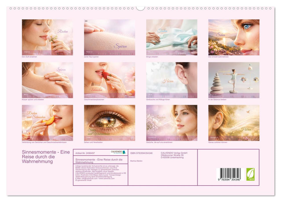 Sinnesmomente - Eine Reise durch die Wahrnehmung (CALVENDO Premium Wandkalender 2027)