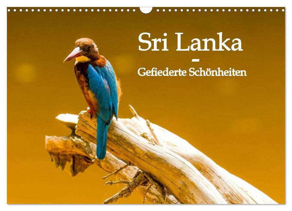 Sri Lanka - Gefiederte Schönheiten (CALVENDO Wandkalender 2027)