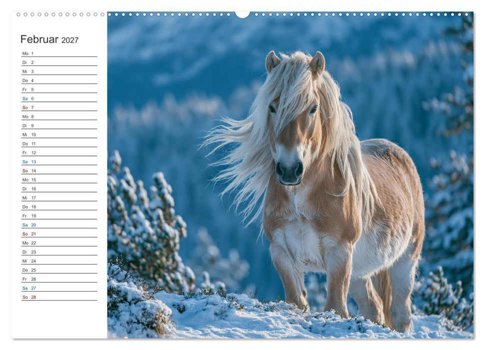 Die Welt der Haflinger (CALVENDO Wandkalender 2027)