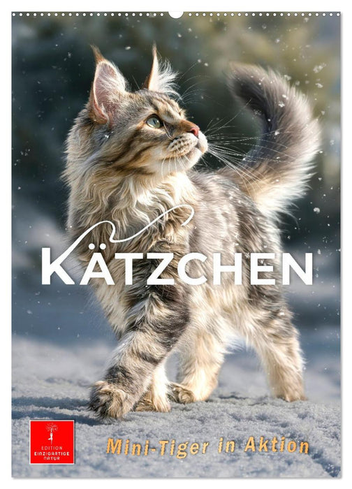 Kätzchen - Mini-Tiger in Aktion (CALVENDO Wandkalender 2027)