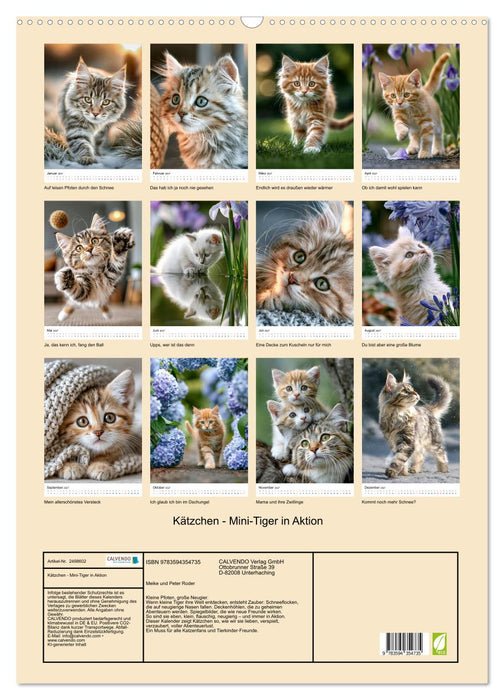 Kätzchen - Mini-Tiger in Aktion (CALVENDO Wandkalender 2027)