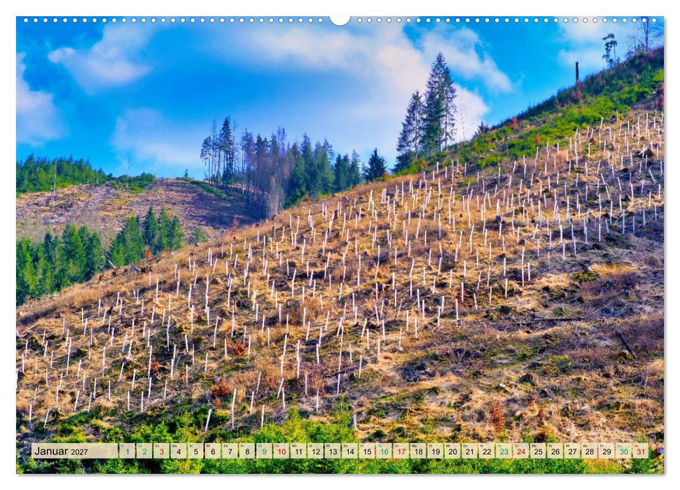 Thüringen nach dem Baumsterben (CALVENDO Premium Wandkalender 2027)