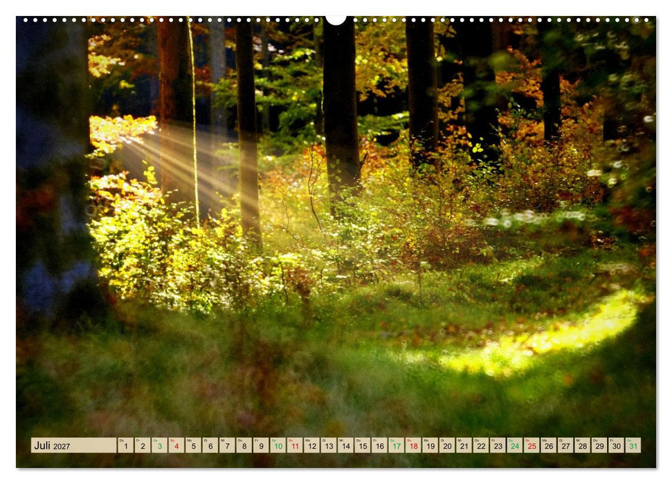 Thüringen nach dem Baumsterben (CALVENDO Premium Wandkalender 2027)