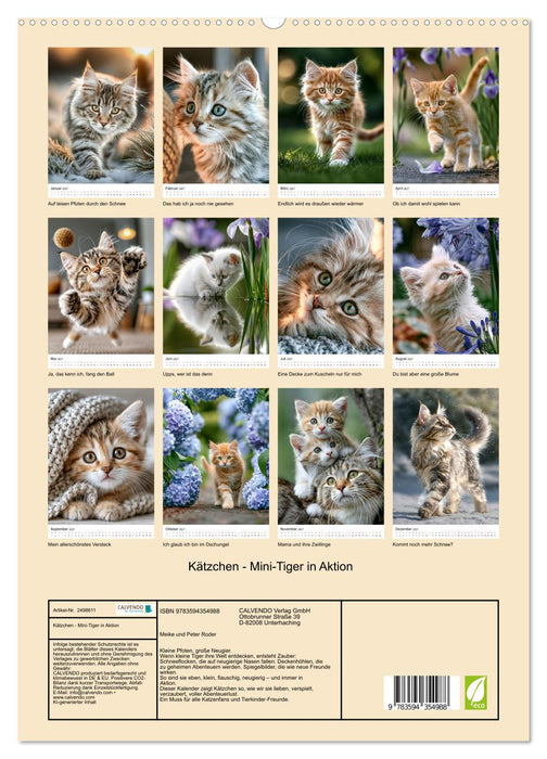 Kätzchen - Mini-Tiger in Aktion (CALVENDO Premium Wandkalender 2027)