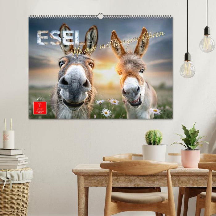 Esel - Humor mit langen Ohren (CALVENDO Wandkalender 2027)