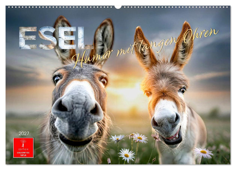 Esel - Humor mit langen Ohren (CALVENDO Wandkalender 2027)