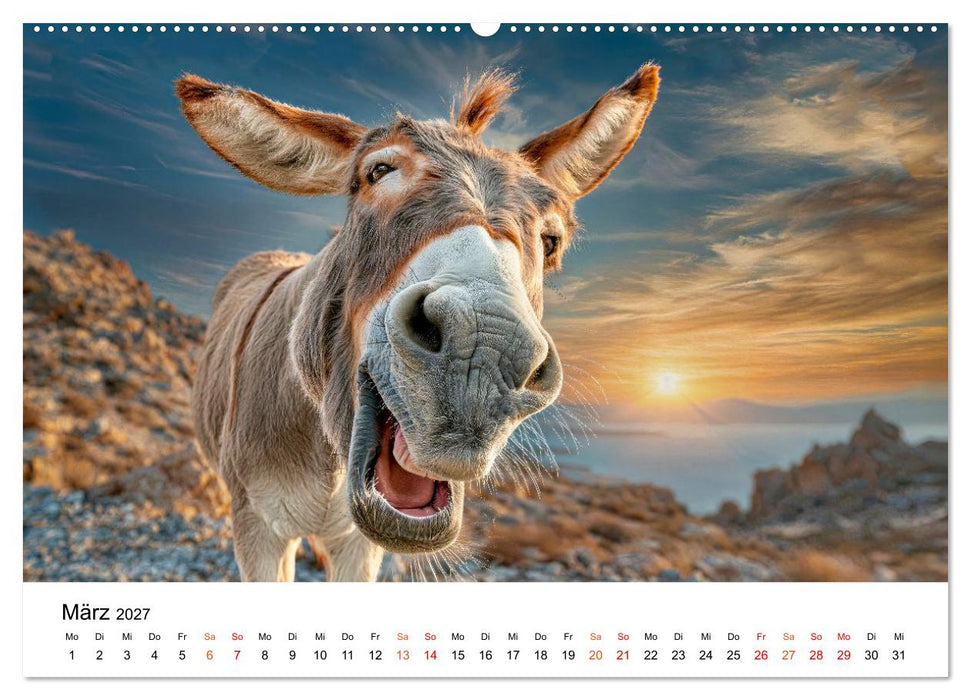 Esel - Humor mit langen Ohren (CALVENDO Wandkalender 2027)