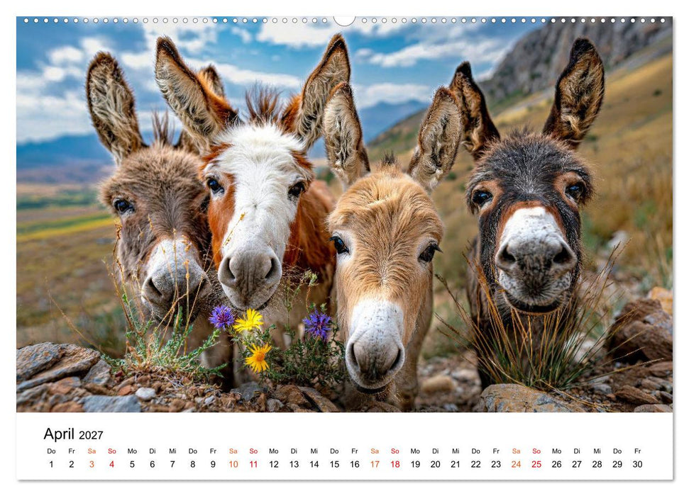 Esel - Humor mit langen Ohren (CALVENDO Wandkalender 2027)