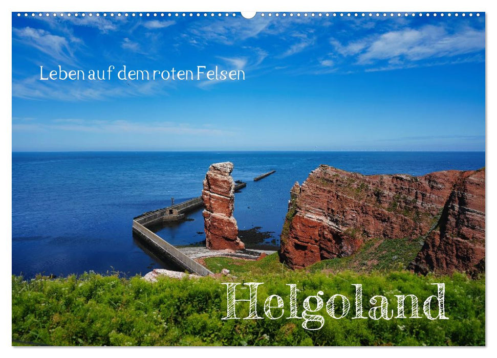Leben auf dem roten Felsen Helgoland (CALVENDO Wandkalender 2027)