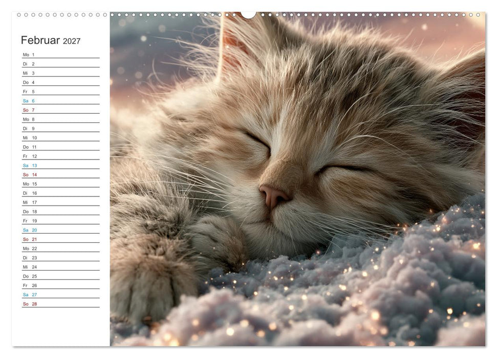 Magische Samtpfoten (CALVENDO Wandkalender 2027)