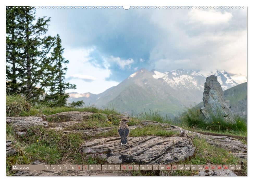 Bergauf ins Paradies am Großglockner - Gipfelblicke und Murmeltierpfiffe (CALVENDO Premium Wandkalender 2027)