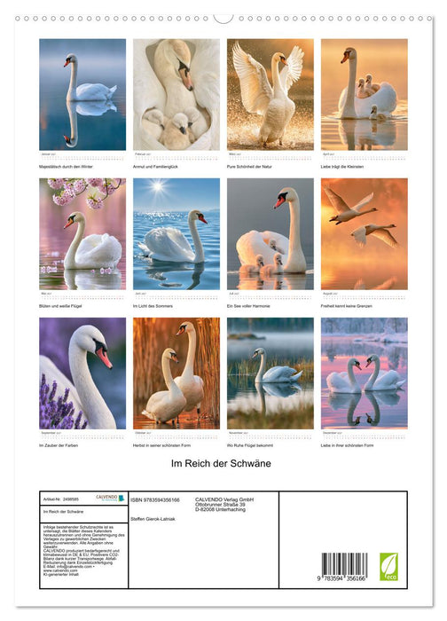 Im Reich der Schwäne (CALVENDO Premium Wandkalender 2027)
