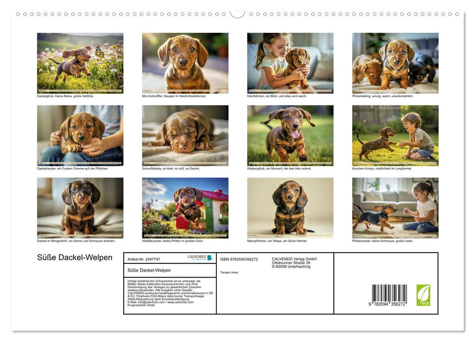 Süße Dackel-Welpen (CALVENDO Premium Wandkalender 2027)