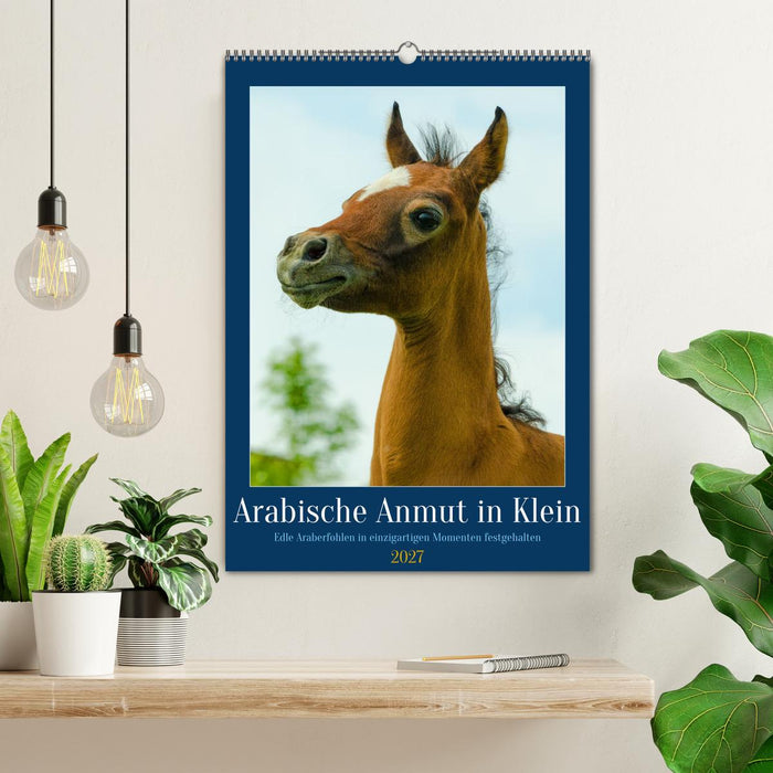 Arabische Anmut in Klein (CALVENDO Wandkalender 2027)