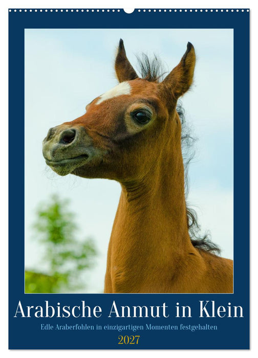 Arabische Anmut in Klein (CALVENDO Wandkalender 2027)