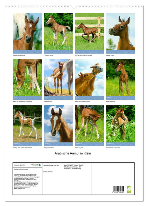 Arabische Anmut in Klein (CALVENDO Wandkalender 2027)