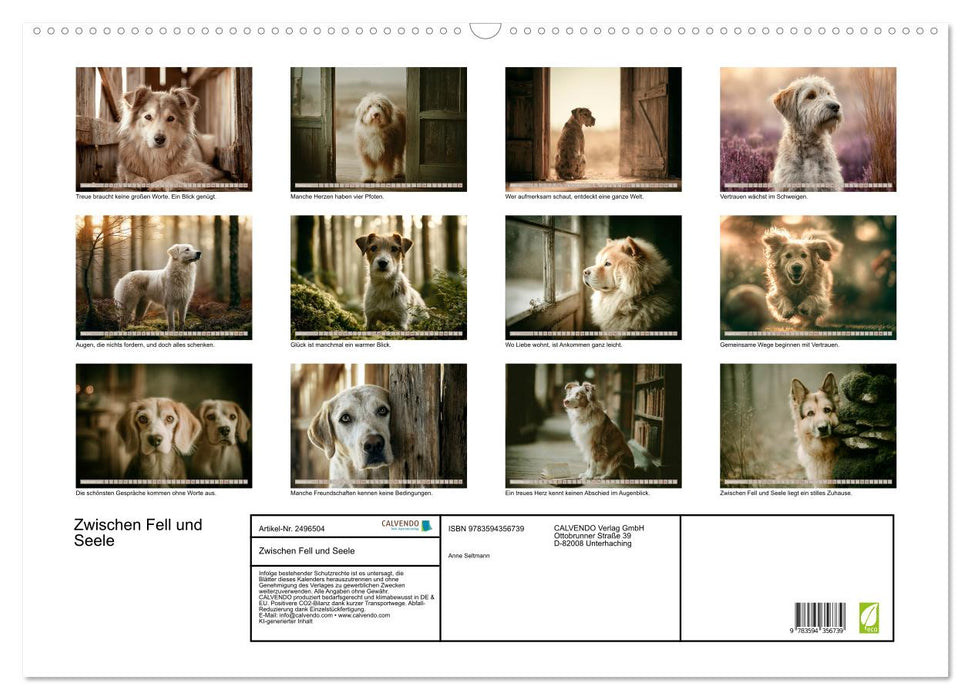 Zwischen Fell und Seele (CALVENDO Wandkalender 2027)