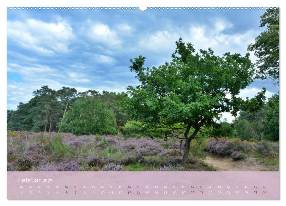 Faszination Wahner Heide (CALVENDO Premium Wandkalender 2027)