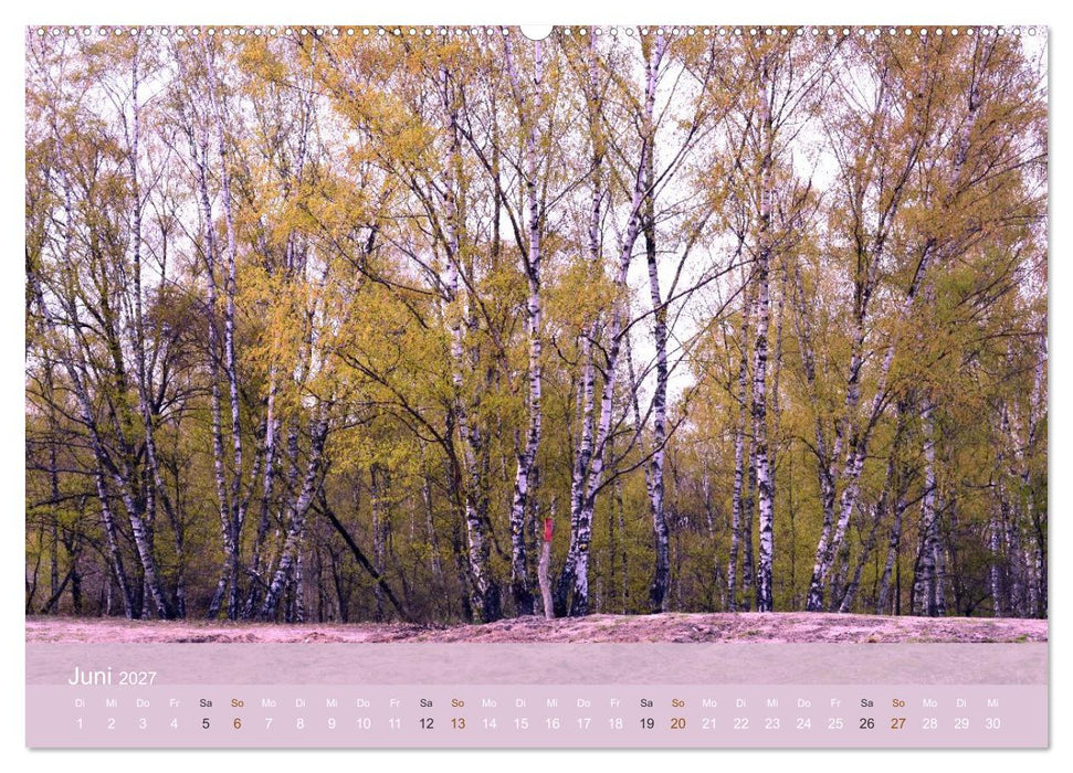 Faszination Wahner Heide (CALVENDO Premium Wandkalender 2027)