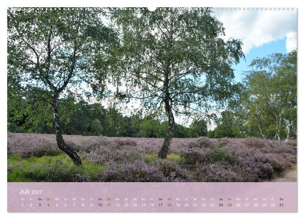 Faszination Wahner Heide (CALVENDO Premium Wandkalender 2027)