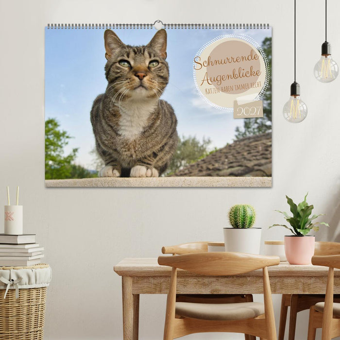 Schnurrende Augenblicke (CALVENDO Wandkalender 2027)