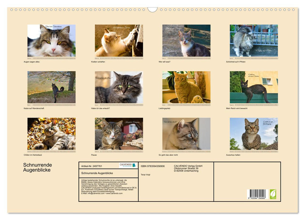 Schnurrende Augenblicke (CALVENDO Wandkalender 2027)