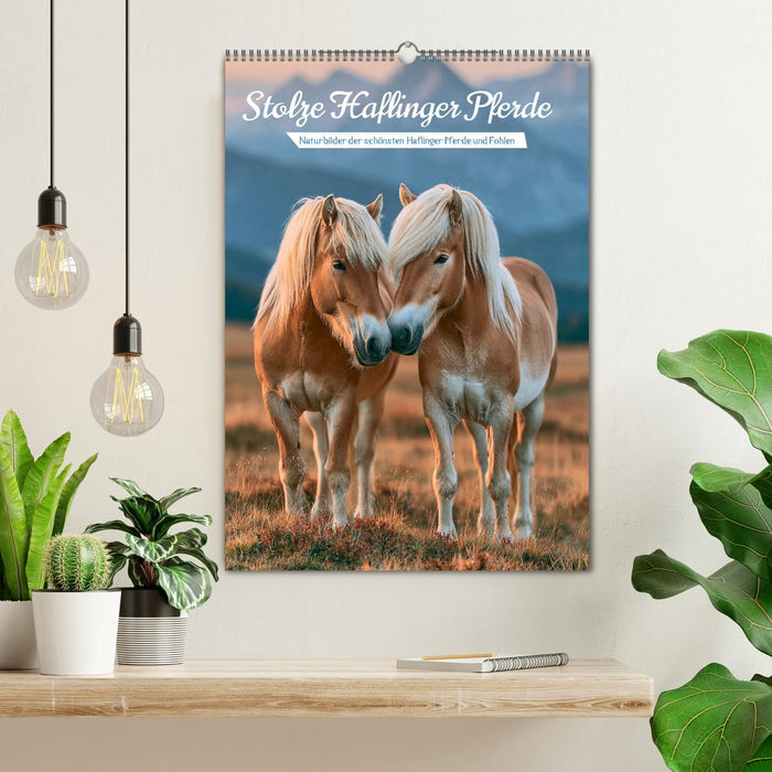 Stolze Haflinger Pferde (CALVENDO Wandkalender 2027)