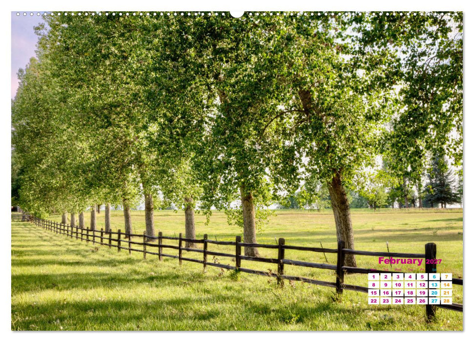 Fence Environs (CALVENDO Premium-Calendar 2027)