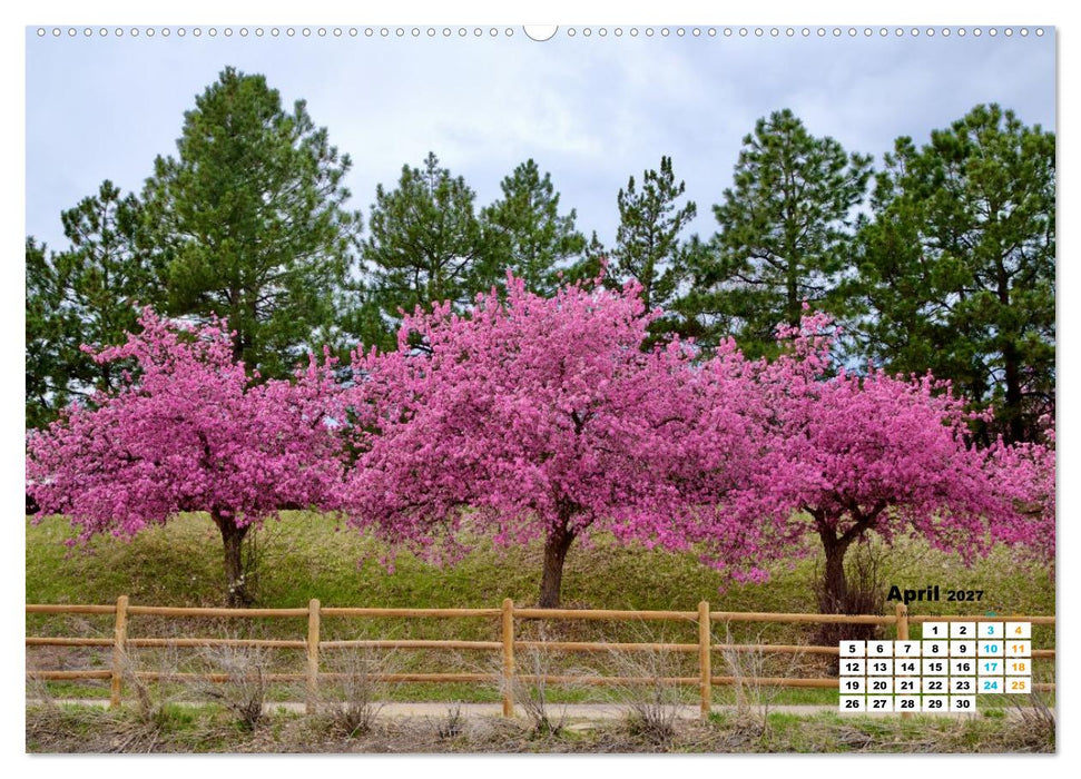 Fence Environs (CALVENDO Premium-Calendar 2027)