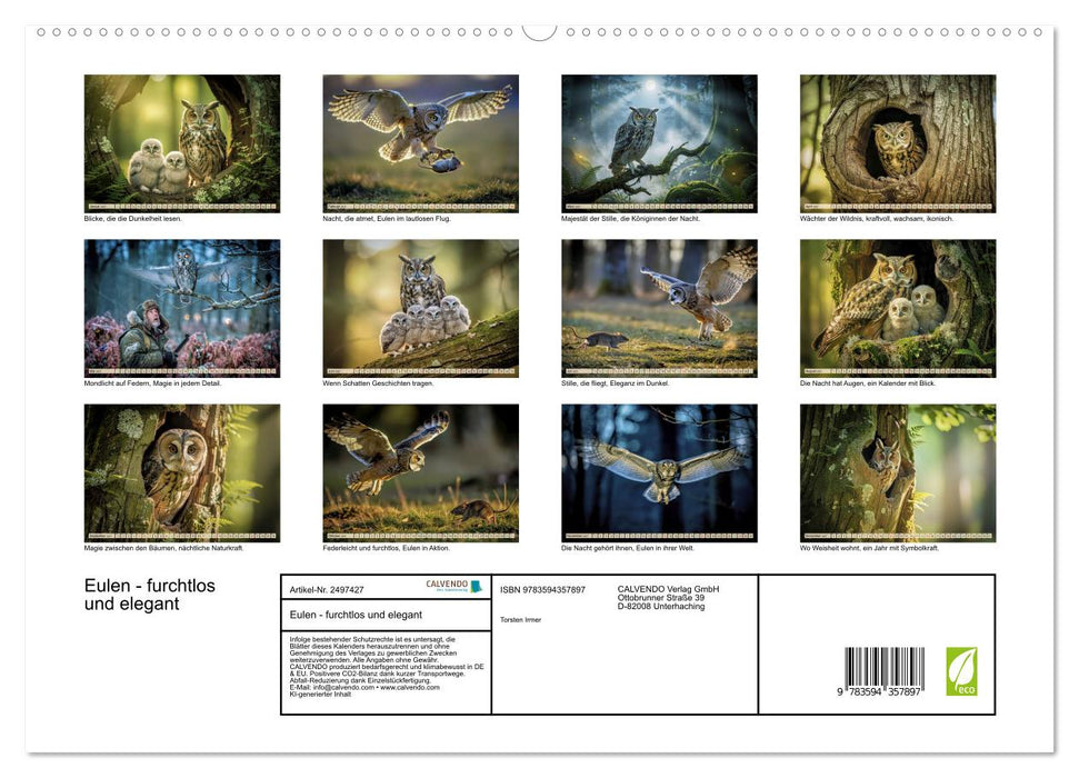 Eulen - furchtlos und elegant (CALVENDO Premium Wandkalender 2027)