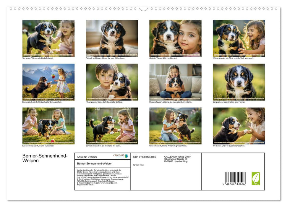 Berner-Sennenhund-Welpen (CALVENDO Premium Wandkalender 2027)