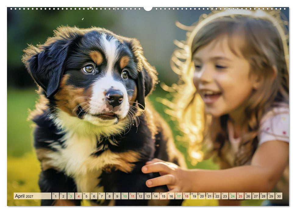 Berner-Sennenhund-Welpen (CALVENDO Premium Wandkalender 2027)