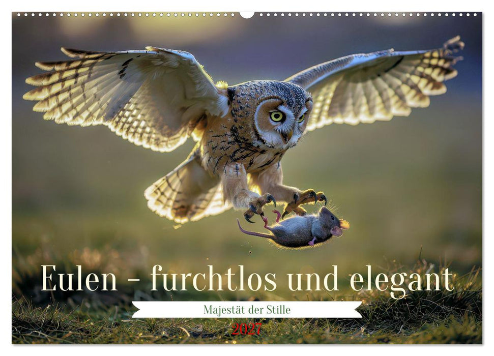 Eulen - furchtlos und elegant (CALVENDO Wandkalender 2027)