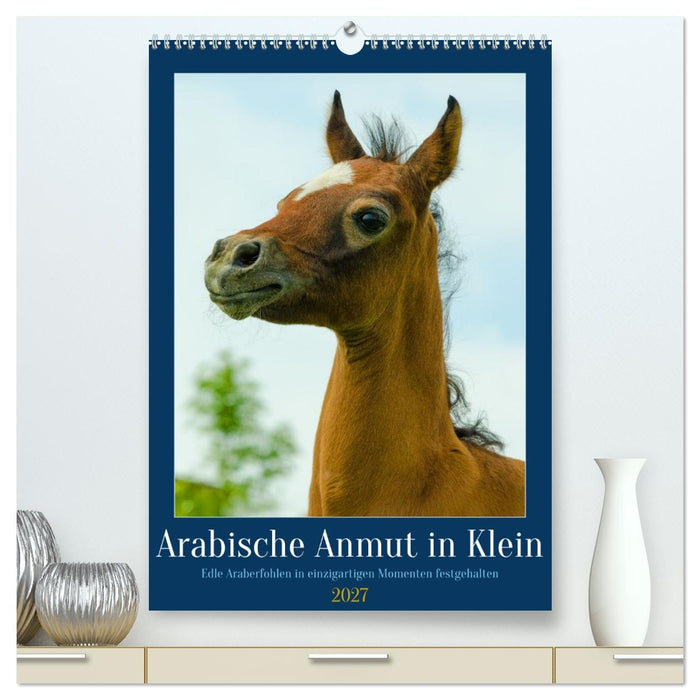 Arabische Anmut in Klein (CALVENDO Premium Wandkalender 2027)