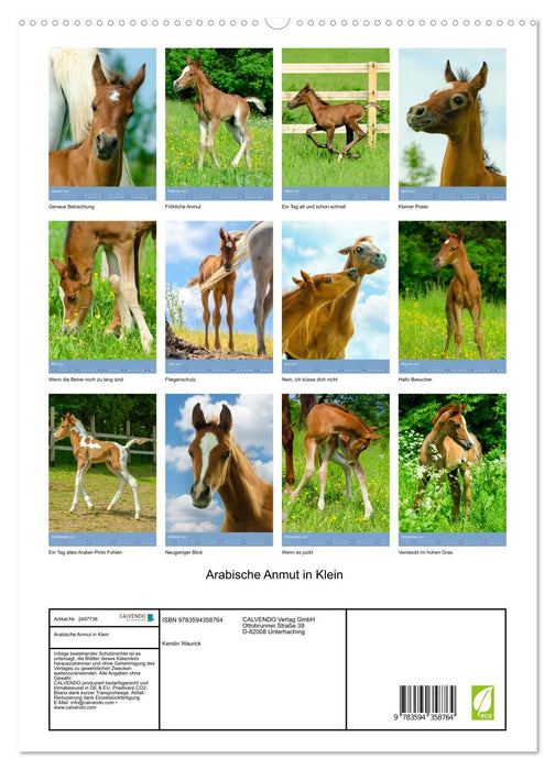 Arabische Anmut in Klein (CALVENDO Premium Wandkalender 2027)