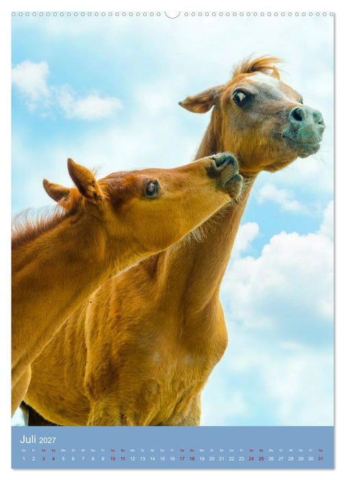 Arabische Anmut in Klein (CALVENDO Premium Wandkalender 2027)