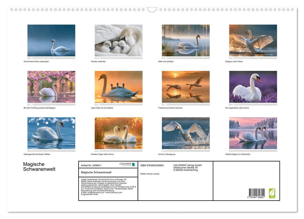 Magische Schwanenwelt (CALVENDO Wandkalender 2027)