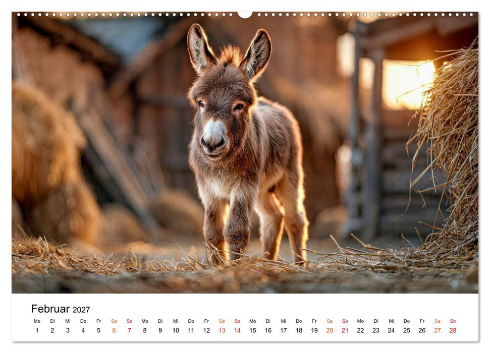 Esel - Humor mit langen Ohren (CALVENDO Premium Wandkalender 2027)