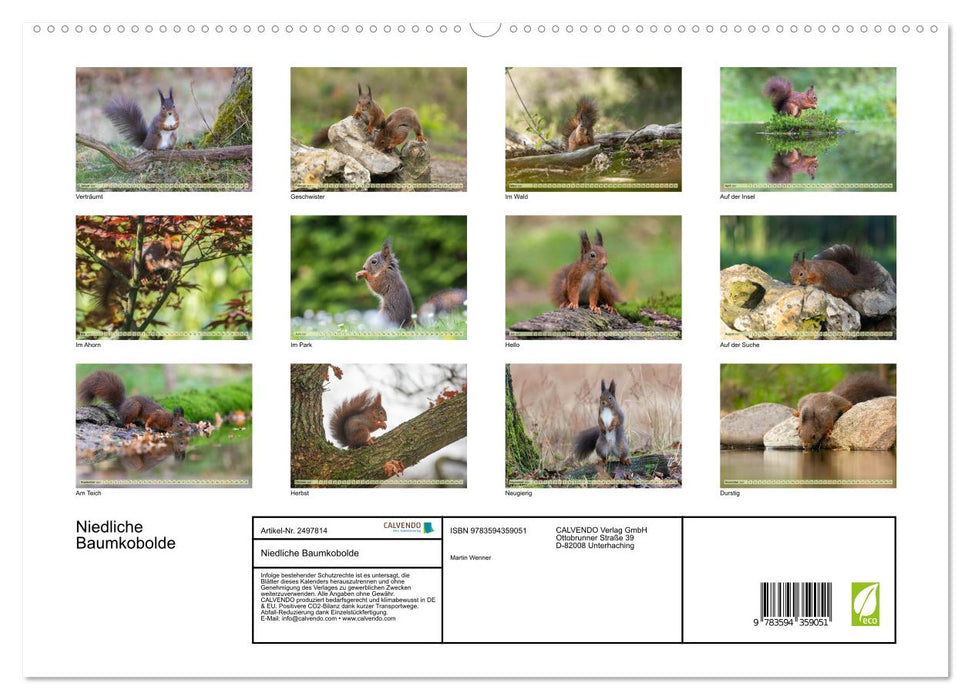 Niedliche Baumkobolde (CALVENDO Premium Wandkalender 2027)