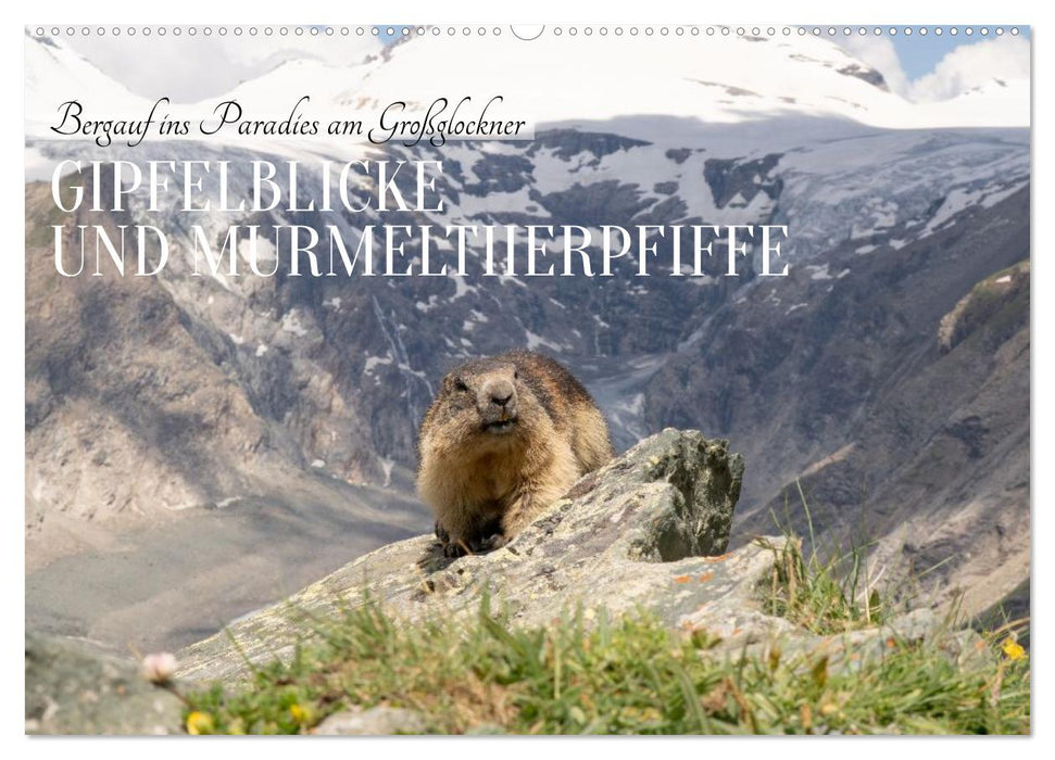 Bergauf ins Paradies am Großglockner - Gipfelblicke und Murmeltierpfiffe (CALVENDO Wandkalender 2027)