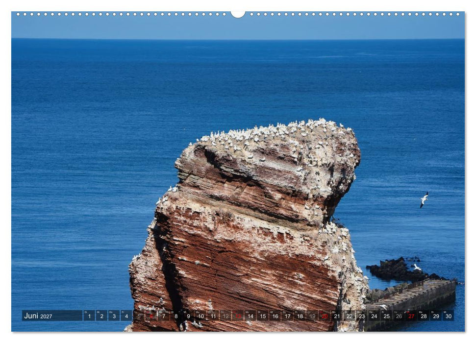Leben auf dem roten Felsen Helgoland (CALVENDO Premium Wandkalender 2027)