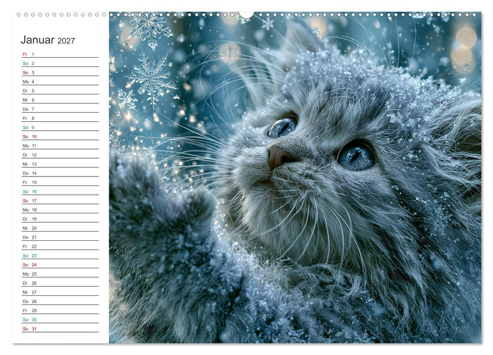 Magische Samtpfoten (CALVENDO Premium Wandkalender 2027)