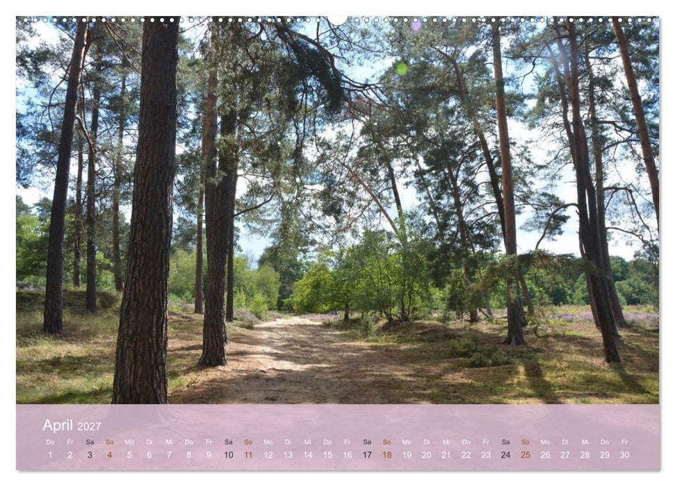 Faszination Wahner Heide (CALVENDO Wandkalender 2027)