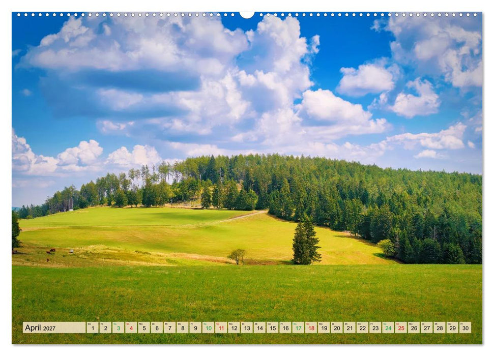 Sommer am Rennsteig (CALVENDO Premium Wandkalender 2027)