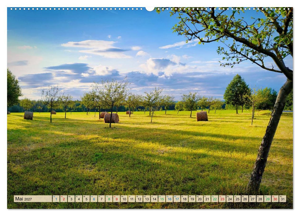 Sommer am Rennsteig (CALVENDO Premium Wandkalender 2027)