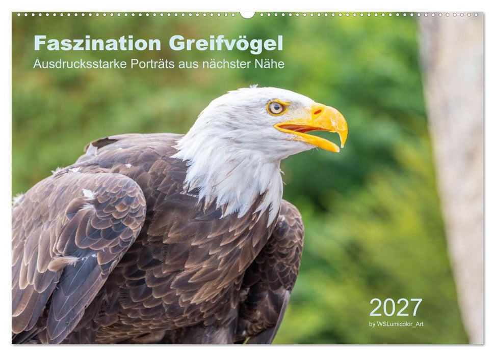 Faszination Greifvögel - Ausdrucksstarke Porträts aus nächster Nähe (CALVENDO Wandkalender 2027)