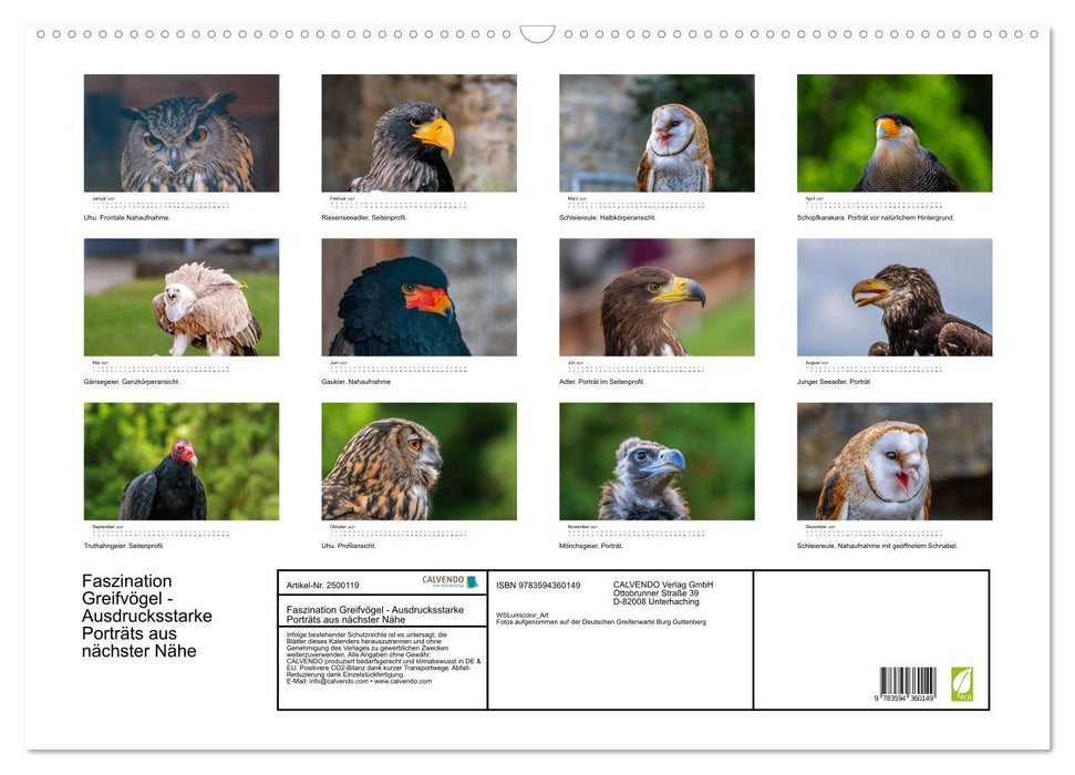 Faszination Greifvögel - Ausdrucksstarke Porträts aus nächster Nähe (CALVENDO Wandkalender 2027)