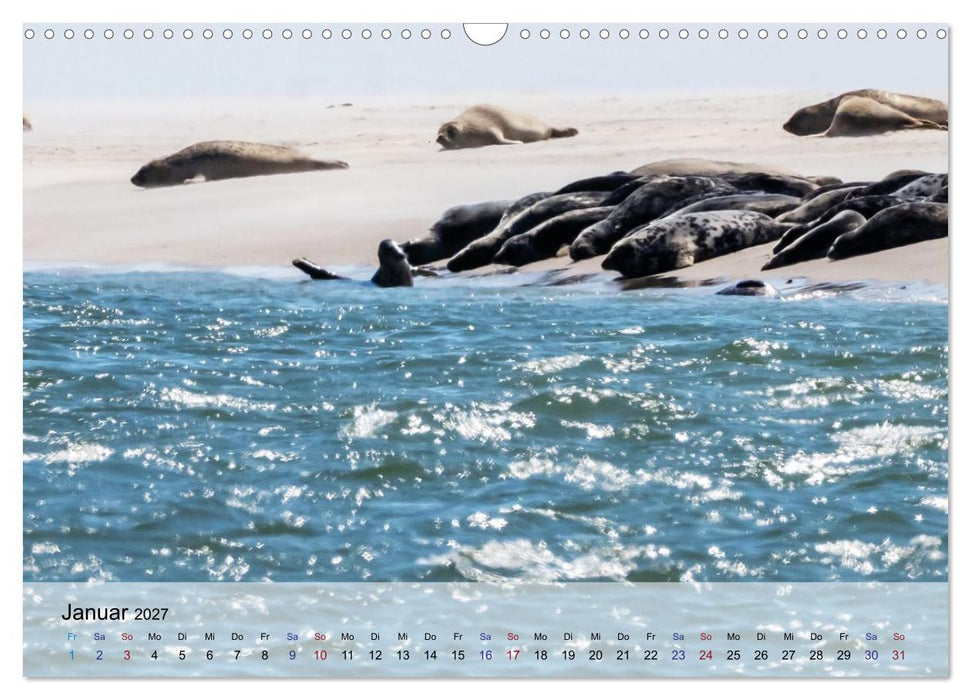 Fanø - zauberhafte Nordseeinsel zwischen Himmel und Meer (CALVENDO Wandkalender 2027)