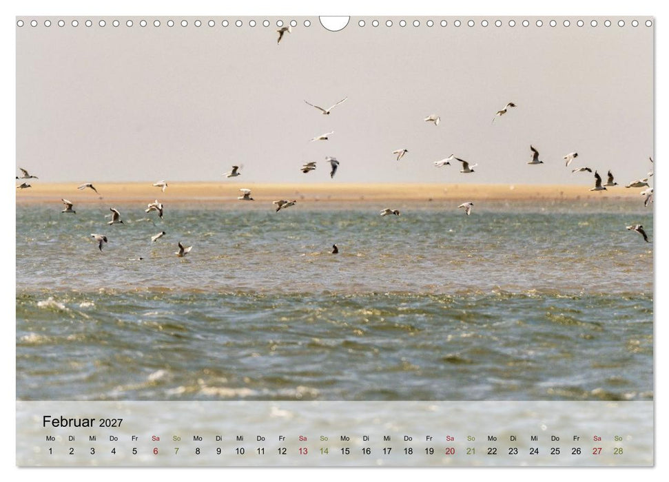 Fanø - zauberhafte Nordseeinsel zwischen Himmel und Meer (CALVENDO Wandkalender 2027)