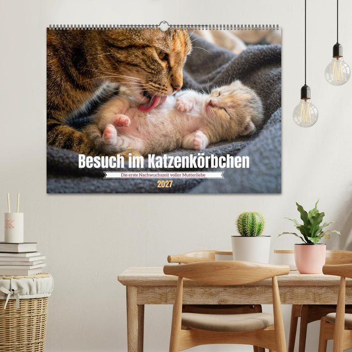 Besuch im Katzenkörbchen (CALVENDO Wandkalender 2027)